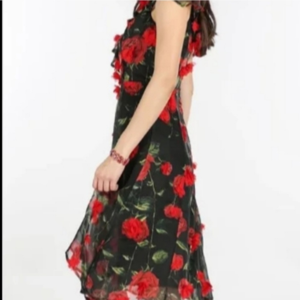 Delicate RED ROSE APPLIQUÉ MIDI - Picture 4 of 7